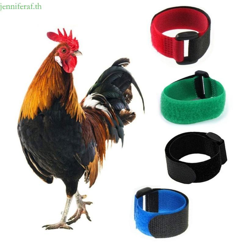 Jenniferf 2PCS ทนทาน Rooster Collar Reusable Operation หลายสี Cockerels Rooster สัตว์ปีก Anti-Crugin