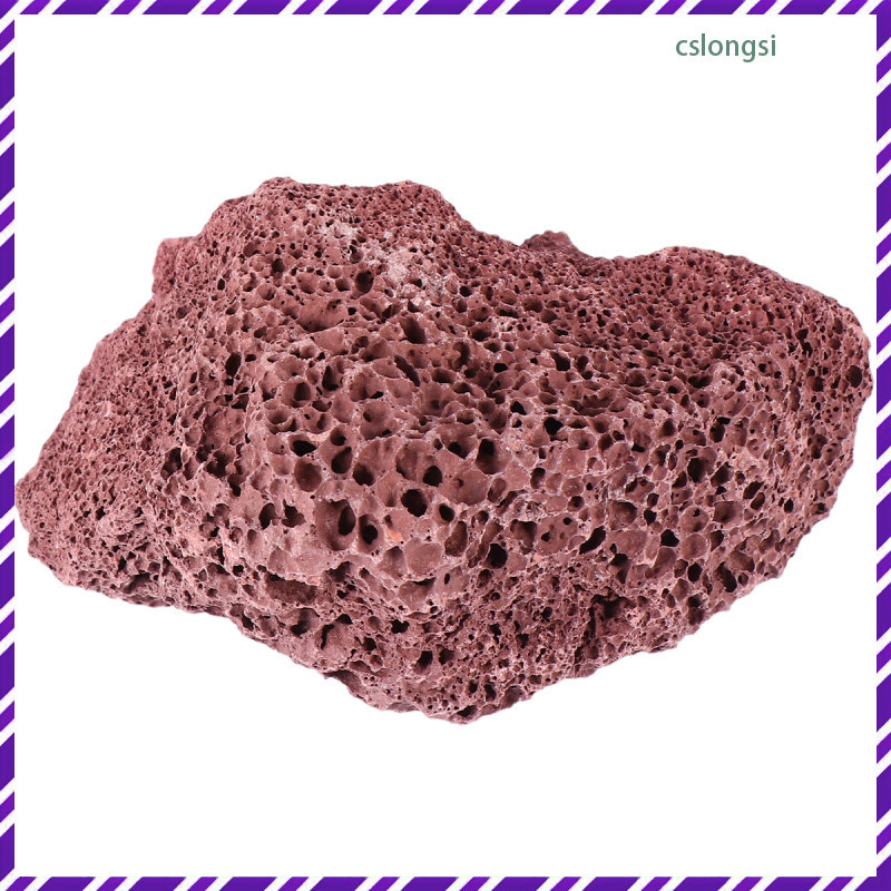 ตู้ปลาพิพิธภัณฑ์สัตว์น้ําตกแต่งธรรมชาติ Bio Media Indoor Volcanic cslongsi