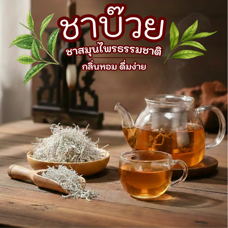 ชาเครามังกร ชาบ๊วย ชาอายุวัฒนะของจีน ไม่มีคาเฟอีน Meicha Vine Tea Caffeine Free 莓茶