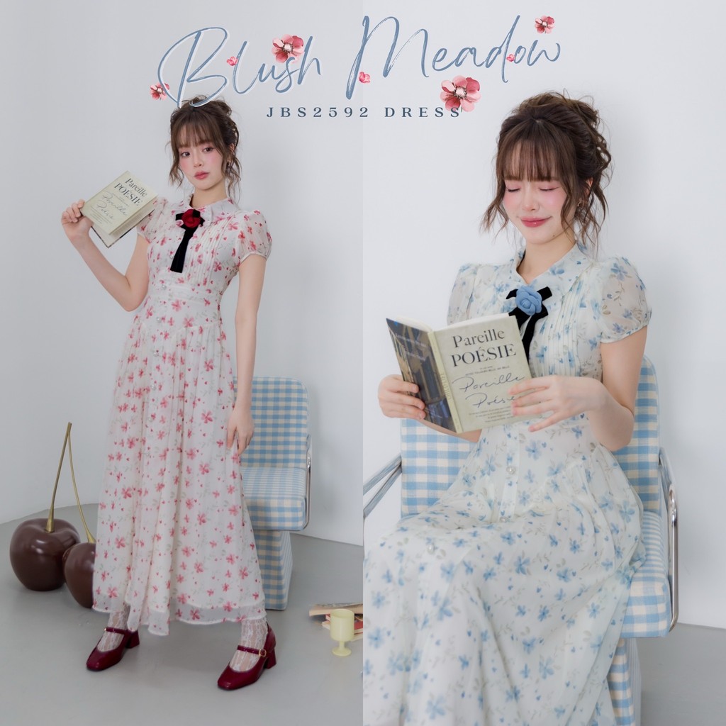 #JBS2592 Blush Meadow Dress Joobs studio