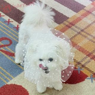 HARRIETT หมวกกันยุงสําหรับสัตว์เลี้ยง, หมวกป้องกันการเลียสุน…