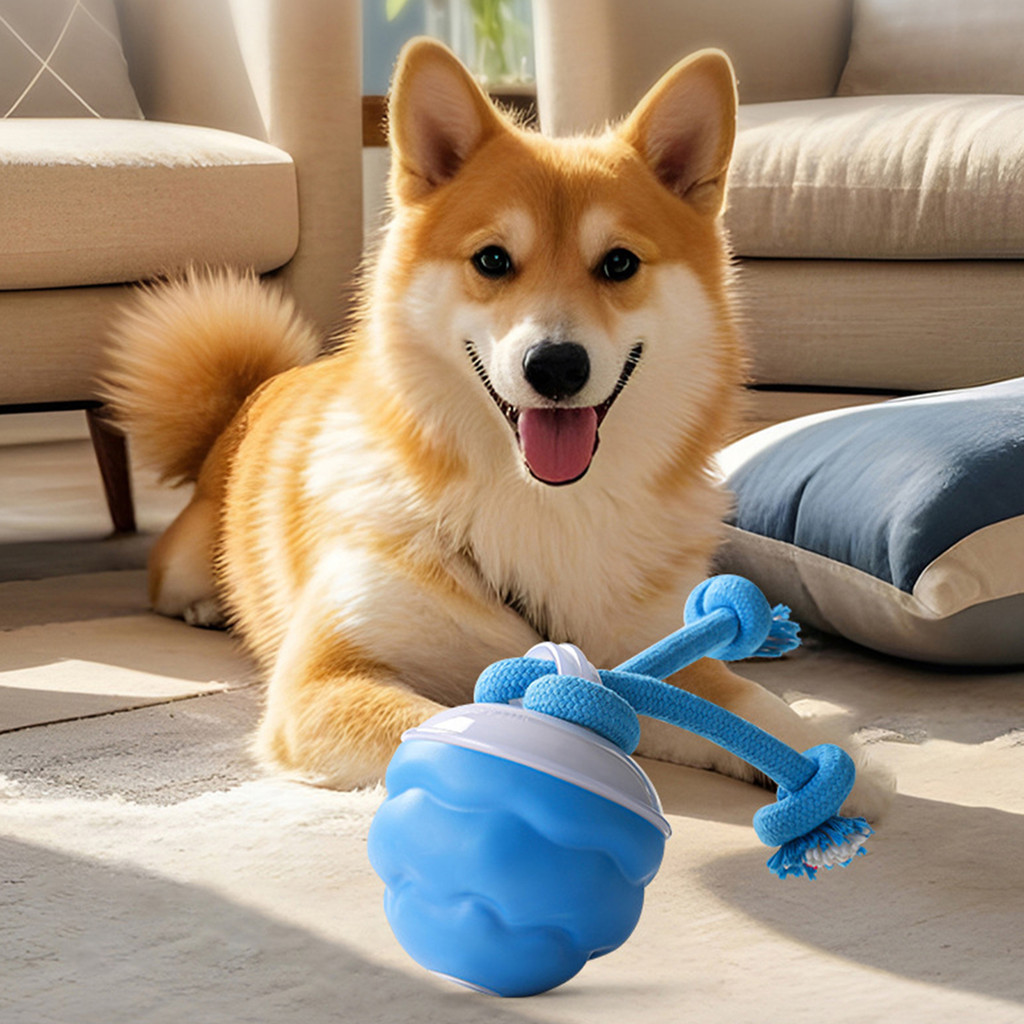 Power Tail Interactive Dog Ball ทําความสะอาดง่าย Self Moving Healthy Balls ของเล่น
 เหมาะสําหรับความ