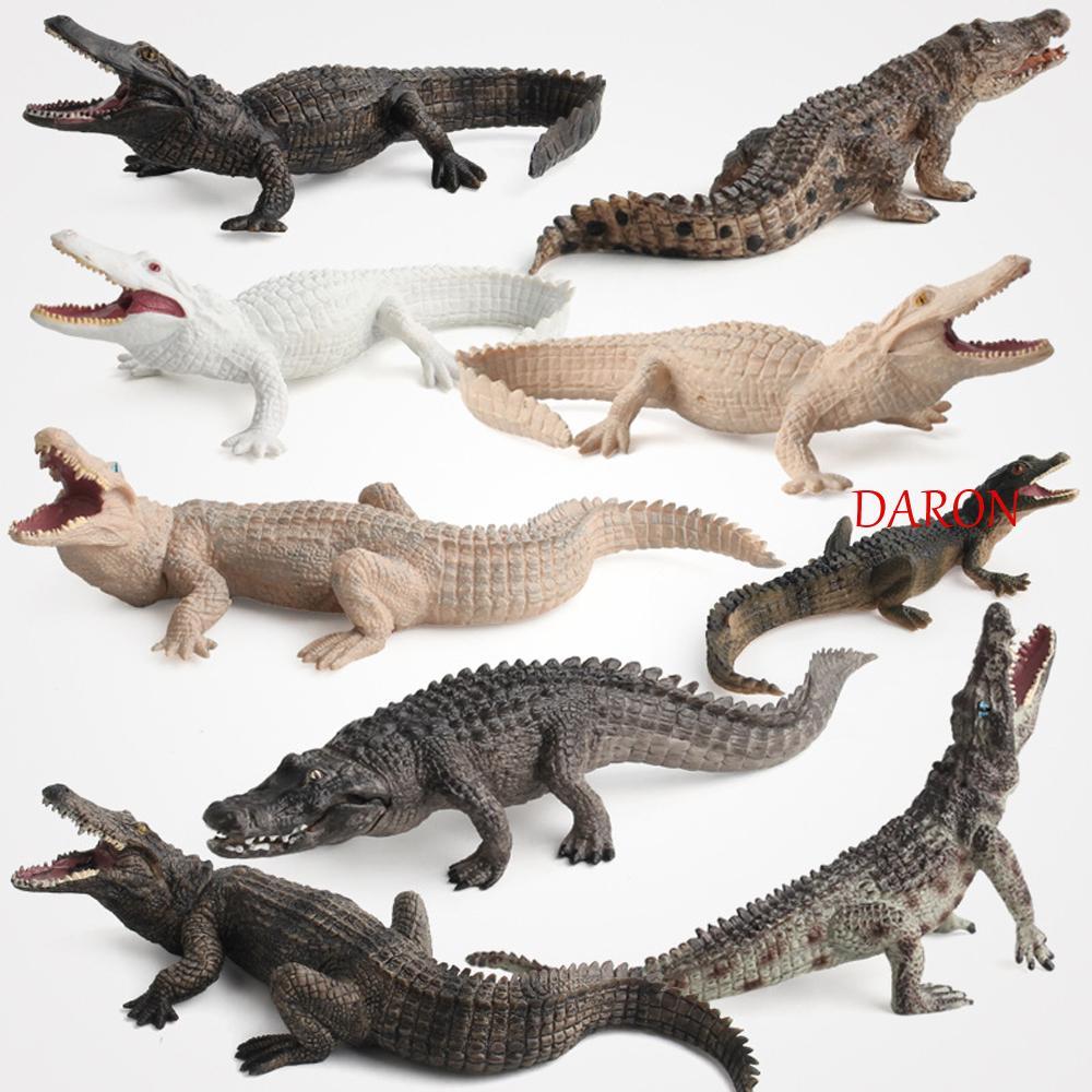 DARON Crocodile Model Home Decor Kids Plastic Creatures จําลองสัตว์ของเล่น