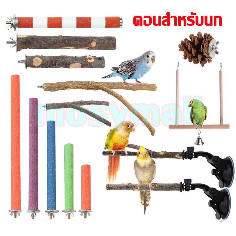 คอนสีไม้ คอนลับเล็บ เกาะ นก Bird เลิฟเบิร์ด แก้ว ฟอพัส หงษ์หยก