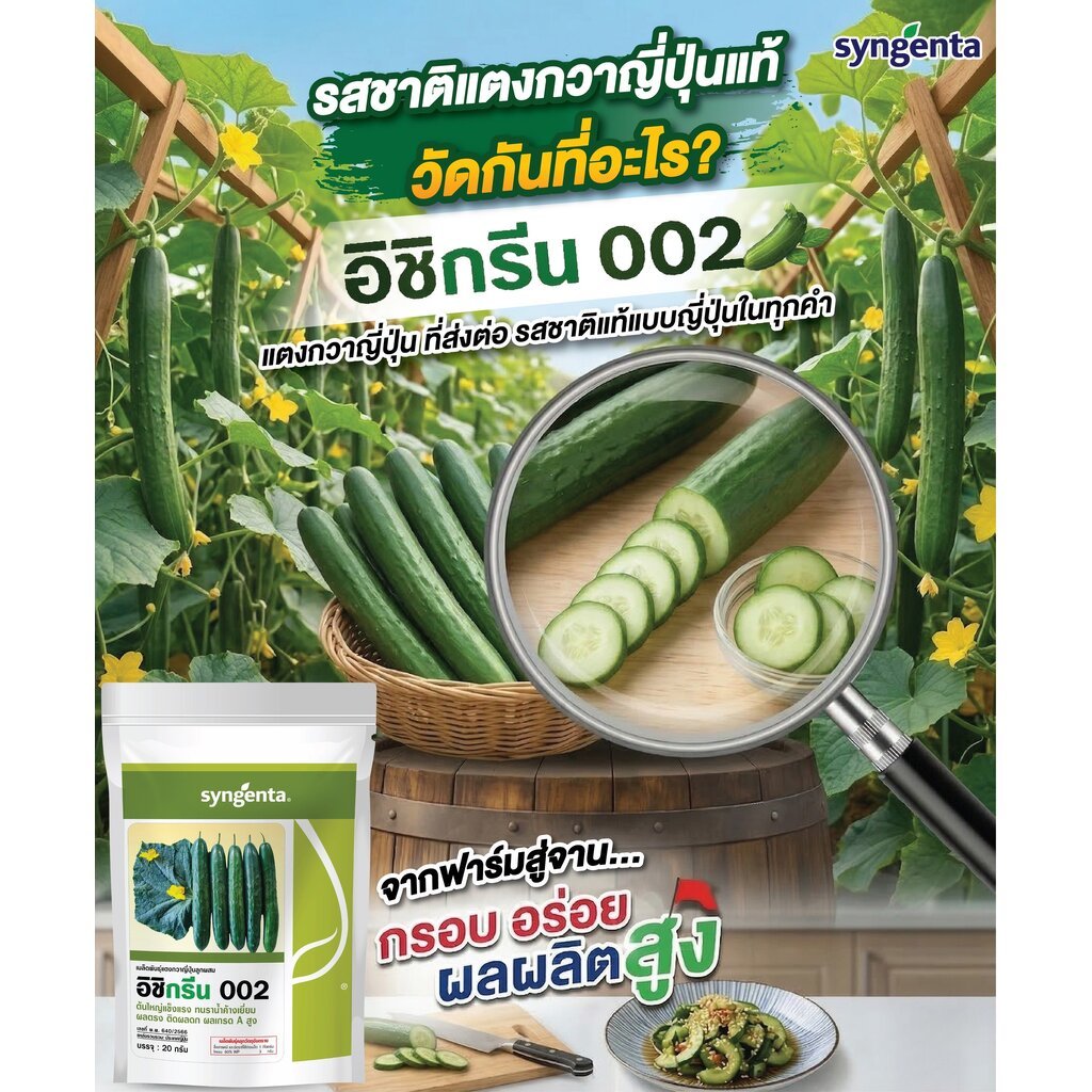 Syngenta(ซินเจนทา) SYNGENTA แตงกวาญี่ปุ่น อิชิกรีน002 500เมล็ด บริษัท ซินเจนทา จำกัด Ishigreen 002 Japanese Cucumber