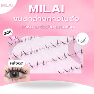 【ขนตาล่าง G28สายไหม】MILAIขนตาล่างกาวในตัว สวยเป็นธรรมชาติ ไม่ระคายเคือง ติดง่ายไม่โป๊ะ