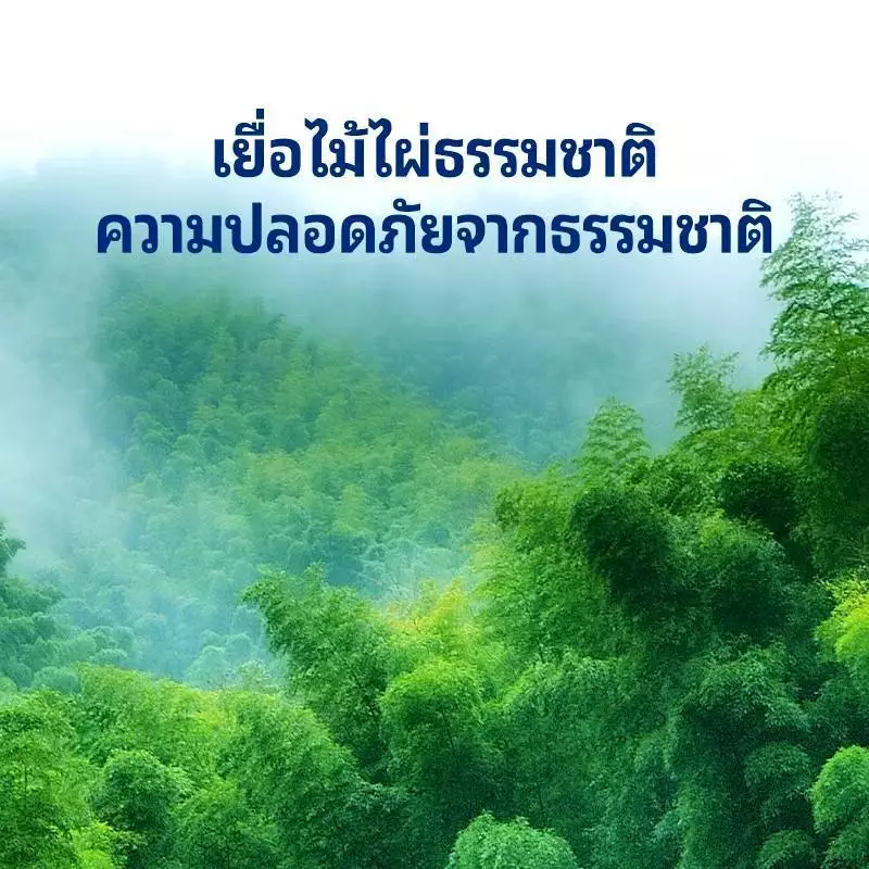 กระดาษทิชชู่แบบดึงแขวนผนัง 4ชั้น 1000แผ่น เหนียวนุ่ม ซึมซับน้ำ thumbnail 7
