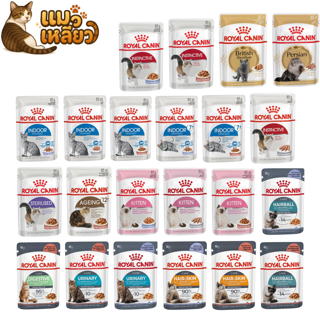 Royal Canin โรยัล คานิน อาหารเปียกสำหรับแมว ทุกช่วงวัย ทุกสายพันธุ์ เปียกแมว ขนาด 85 กรัม