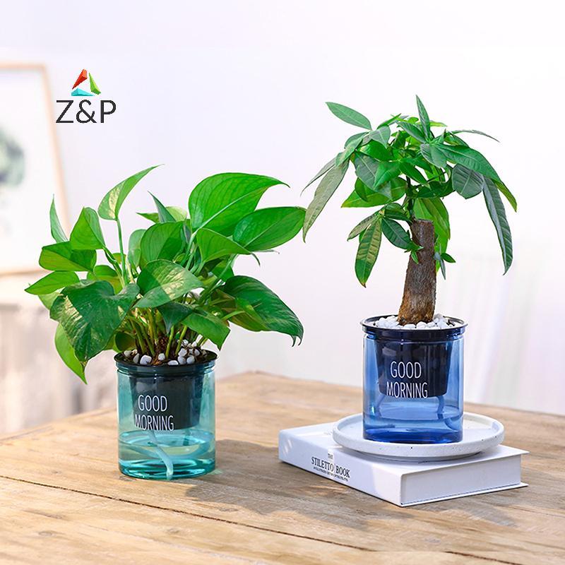 Z&P กระถางดอกไม้โปร่งใสรดน้ําต้นไม้ด้วยตนเองกระถางดอกไม้ตกแต่งสวนบ้าน COD ราคา ถูกที่สุด ดีลบีเคเค แกลเลอรีภาพที่ 3