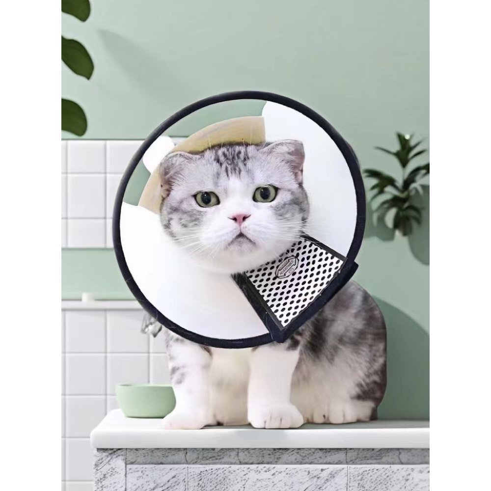 คอลล่าแมวกันเลีย คอลล่าแมว Pet Elizabeth Collar Cat Dog Collar Collar Collar Collar Collar Anti-Lick