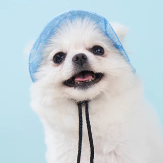 Doge&Orange หมวกบัคเก็ตสัตว์เลี้ยง หมวกแมว สุนัข กันแดด ปรับสายคล้องได้ หลายขนาด ระบายอากาศ PU246