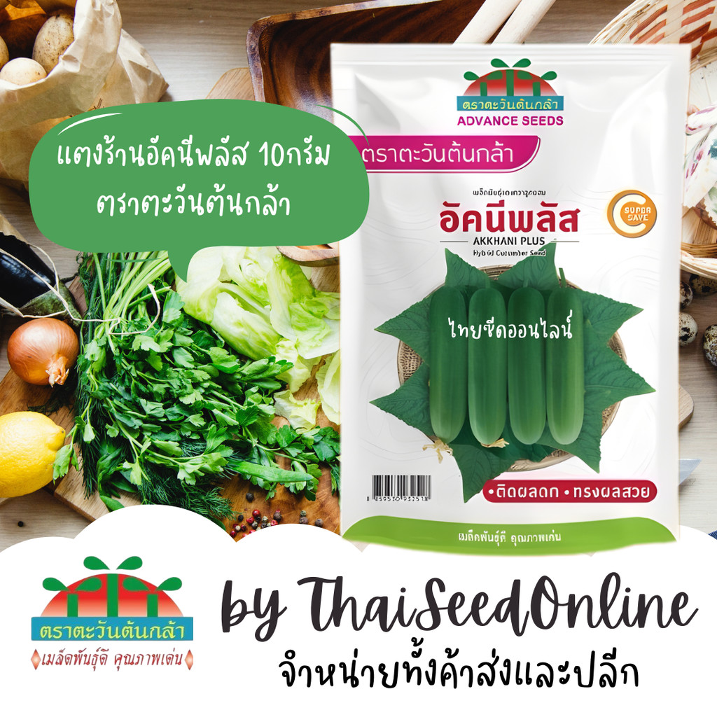 ADV SAVEPACK 10กรัม เมล็ดพันธุ์ แตงกวาลูกผสม อัคนีพลัส ตราตะวันต้นกล้า แตงกวาอัคนี – โปรปัง