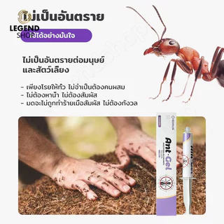 COD เจลกำจัดมด แอนติแอนท์ เหยื่อกำจัดมดชนิดเจล ล่อมดกลับรัง หยดเดียวตายยกรัง เห็นผลไว