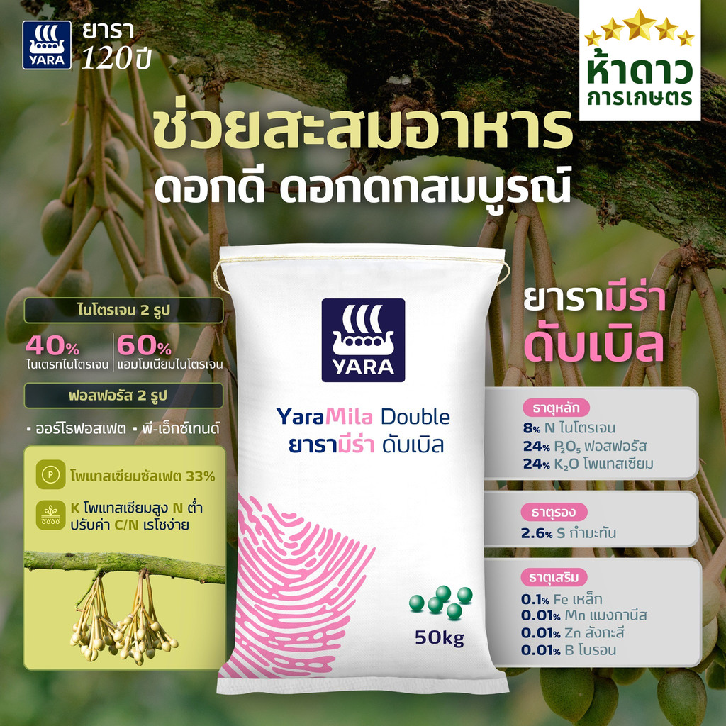 (ยกกระสอบ50กก.) ปุ๋ยยาร่ามีร่า ดับเบิ้ล 8-24-24 บำรุงช่วงสะสมอาหาร บำรุงดอก ดอกดกสมบูรณ์ ปุ๋ย8-24-24