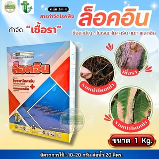 ล็อคอิน #โพรพาโมคาร์ปไฮโดคลอไรด์+เมทาแลคซิล ขนาด 1 kg กำจัดเชื้อรา โรคเน่าคอดิน รากเน่าโคนเน่า #ทริปเปิ้ลที