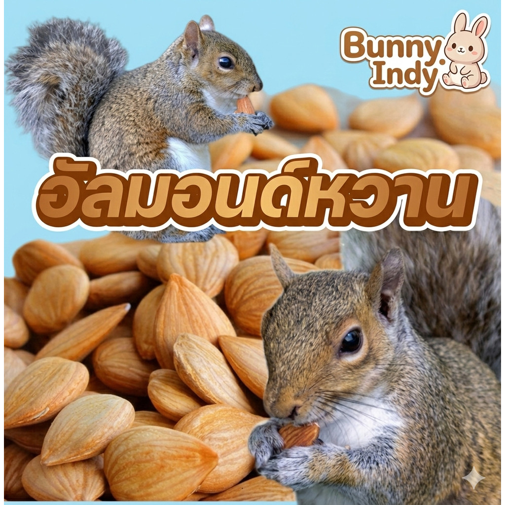 Bunny.indy อัลมอนด์หวาน สำหรับ สัตว์ฟันแทะ ขนมแฮมเตอร์ กระรอก ชูการ์ อาหารแฮมเตอร์ กระรอก ชูการ์