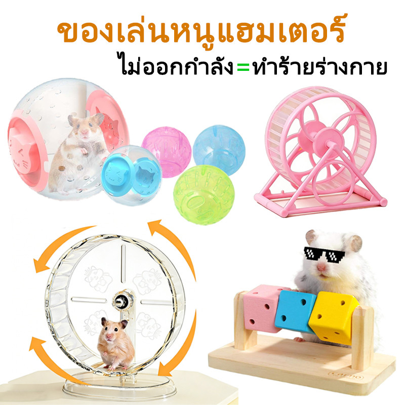 ลูกบอลวิ่งหนูแฮมเตอร์🐹 บอลวิ่งหนูแฮมเตอร์ ของเล่นหนูแฮมเตอร์ ลูกบอลออกกำลังกาย ลูกเต๋าลับฟันแฮมสเตอร์ สนุกและปลอดภัย