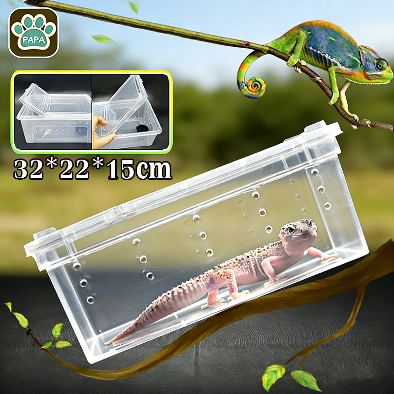 กล่องเลี้ยงสัตว์เล็ก Reptile Box สัตว์เลื้อยคลาน ผสมพันธุ์สดกล่อง หนอนผไหม แมงมุม ตุ๊กแก ฮอร์นฟรอก ตะขาบ แมงป่อง งู