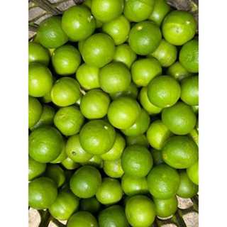 มะนาวแป้นบ้านแพ้วลูกใหญ่1กิโลกรัม ไซร้400 เปลือกบางน้ำเยอะ ส…