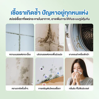 【Agate ของแท้】น้ำยาเช็ดเชื้อรา สเปรย์กำจัดเชื้อรา ฆ่าเชื้อรา ยับยั้งเชื้อรา ผนังไม่มีความเสียหาย ขจัดกลิ่นอับได้