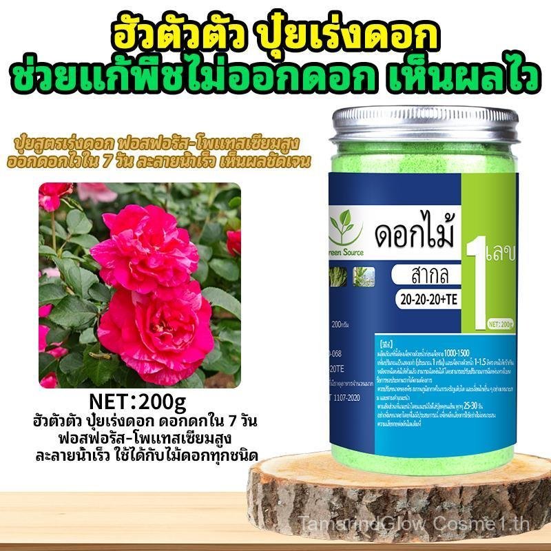 ปุ๋ยเร่งดอกละลายน้ำ สำหรับต้นไม้ทุกชนิด ปุ๋ยบำรุงดอก เพิ่มสีสันและความสวยงาม，แพลงก์ตอนพืช，ปุ๋ยบำรุงดอกปุ๋ยละลายน้ำ、ต้นขี้กา、ต้นเซเลอรี่、ต้นไม้อลูมิไล、ต้น โยนี - รูปที่ 6