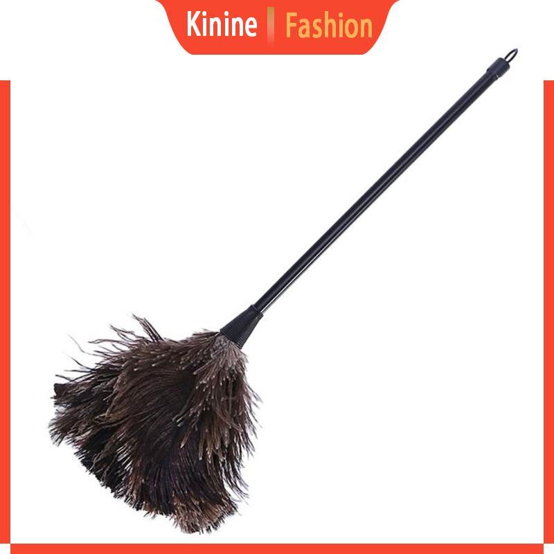 Ostrich Duster Feather Cleaning Brush with Long Handle Computer Dust Removal