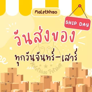 [MALETKHAO] Iconic (ไอโคนิค) ขนาด 15 กิโลกรัม อาหารแมวเกรดพรีเมียม มีให้เลือก 2 สูตร