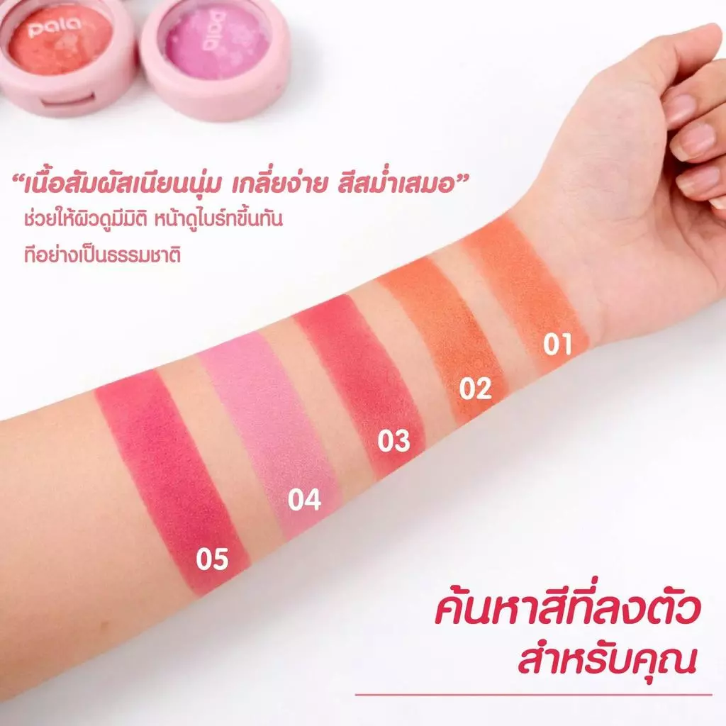 PALA Baked Powder Soft Fog Blusher บลัชออน 8.5g thumbnail 3