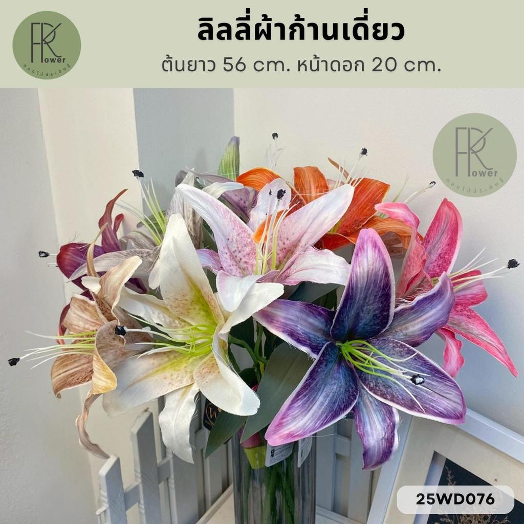 ลิลลี่ผ้าก้านเดี่ยว ต้นยาว 56 cm. หน้าดอก 20 cm.