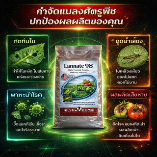(ของแท้) ผงสีฟ้า แลนเนท แท้ 98% ถุงใหญ่ เมโทมิล ฆ่าแมลง กำจัดหนอน บรรจุ 500 กรัม เพลี้ย สูตรแรง แรนเนด