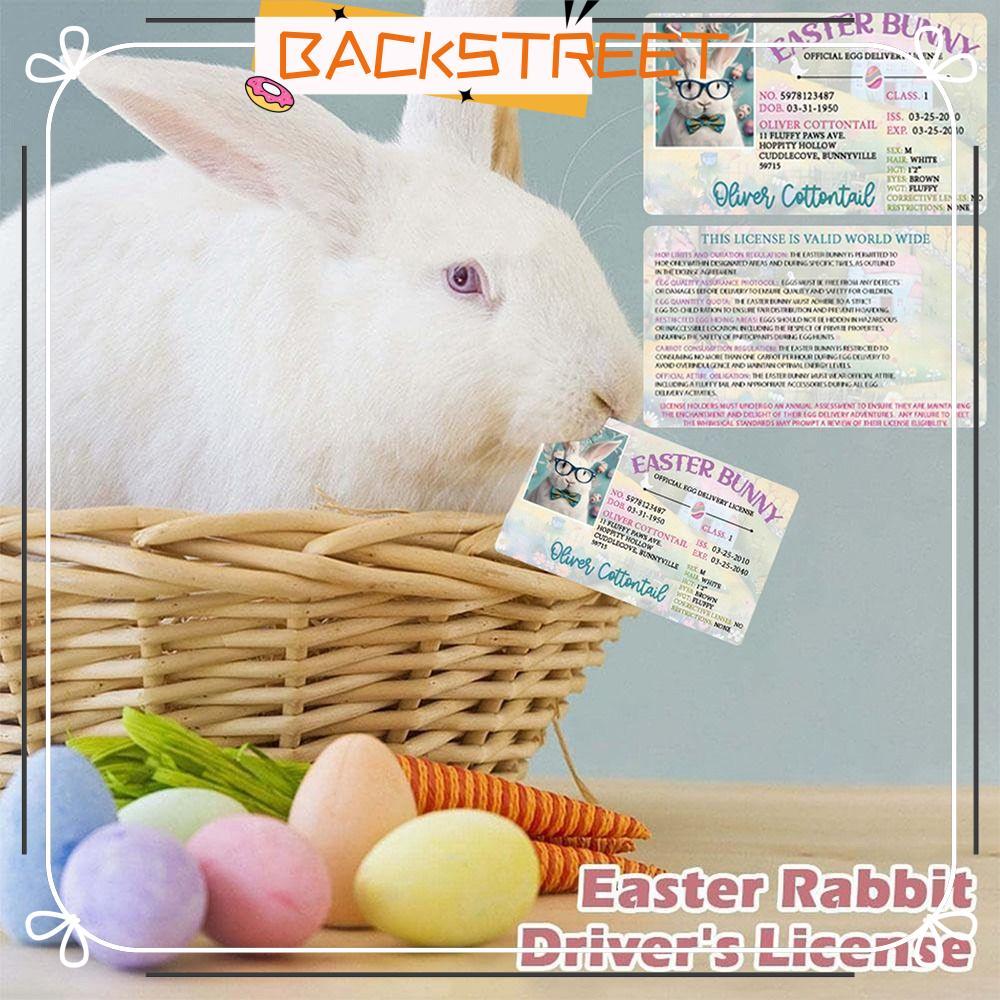 BACKSTAGE Easter Bunny Card, Bunny Lost Drivers License DIY Easter Rabbit Card, Novelty Plastic East