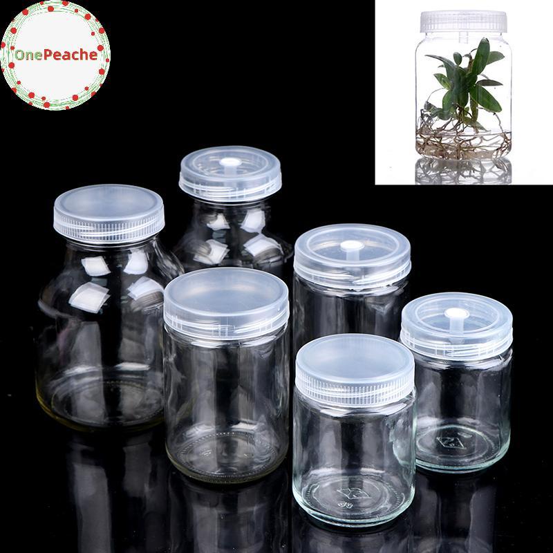 OnePeache Plants Glass Jars สําหรับขวดต้นกล้าเนื้อเยื่อวัฒนธรรมทนต่ออุณหภูมิสูง TH