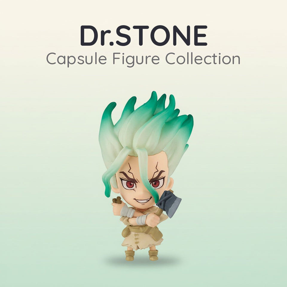 Dr.STONE SCIENCE FUTURE (Blind Capsule)