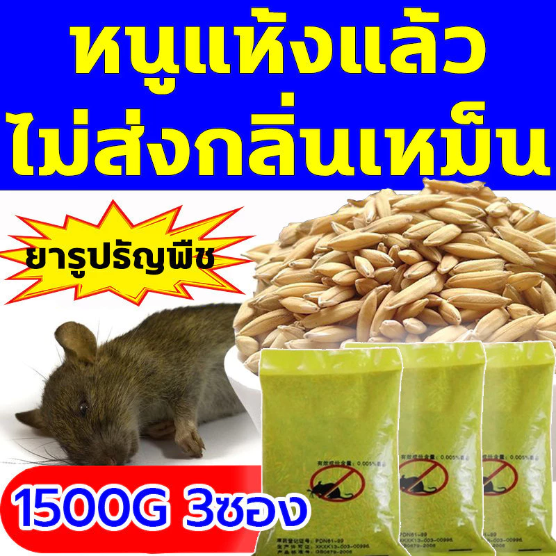 1 คืน หนูตายหมด ยาเบื่อหนู 500g นำเข้าจากอเมริกา สูตร ยาไล่หนู จดสิทธิบัตร ยาฆ่าหนู ทำจากข้าวสาลี อาหารที่หนูชอบที่สุด