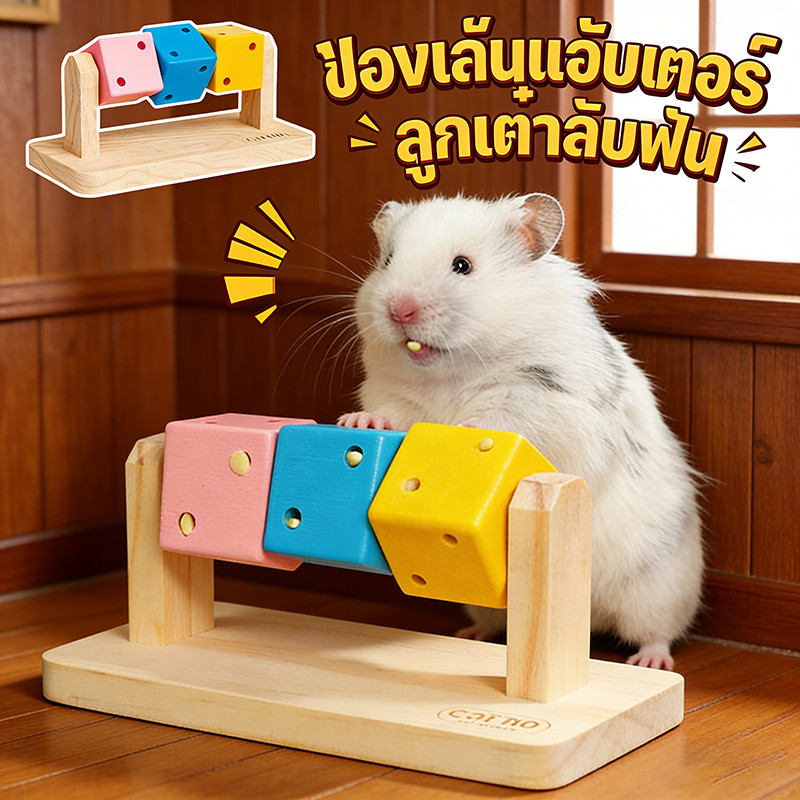 ของเล่นแฮมสเตอร์ ของแต่งกรง ลูกกลิ้งแฮมเตอร์ ลูกเต๋าคาโน่ บ้านหนูแฮมสเตอร์แคระ  ของตกแต่งกรง ลูกเต๋าลับฟัน