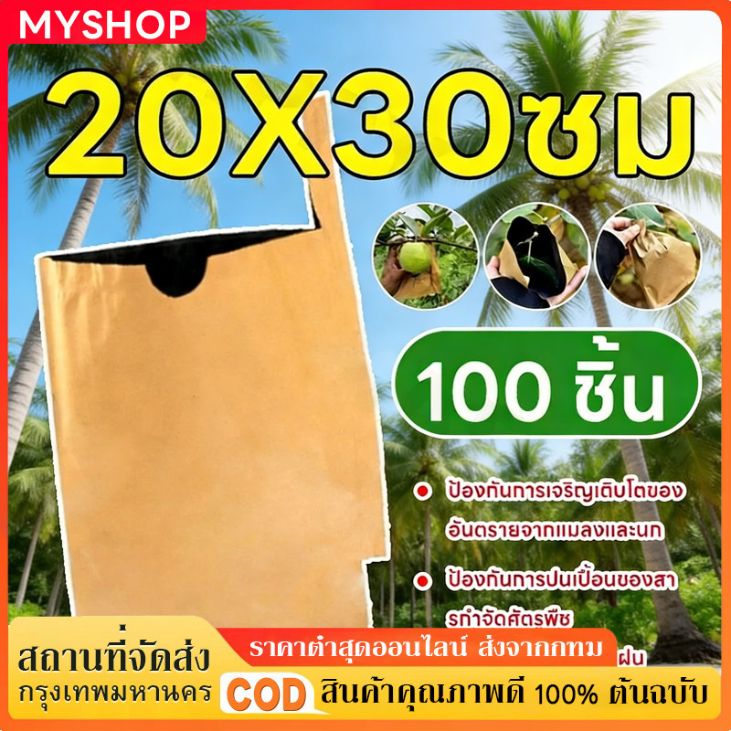 ถุงห่อผลไม้คาร์บอน 20x30 ซม. แพ็ค 300 ใบ - กันน้ำ กันแมลง กันนก เหมาะสำหรับสวนผลไม้ขนาดใหญ่