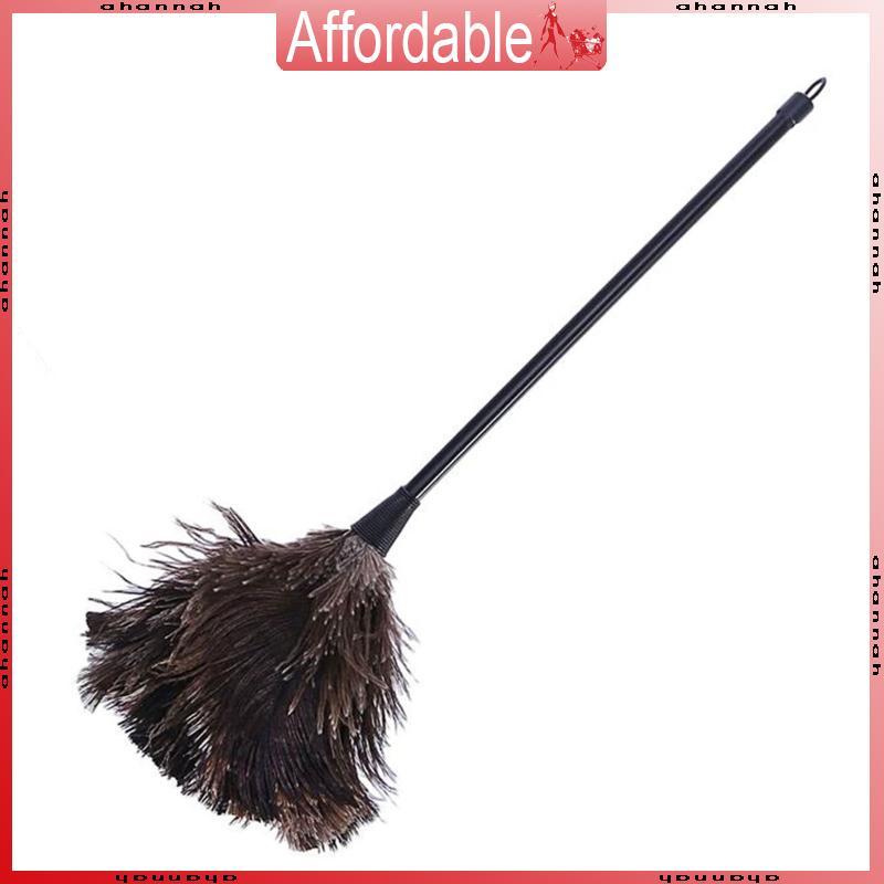 Ostrich Duster Feather Cleaning Brush with Long Handle Computer Dust Removal