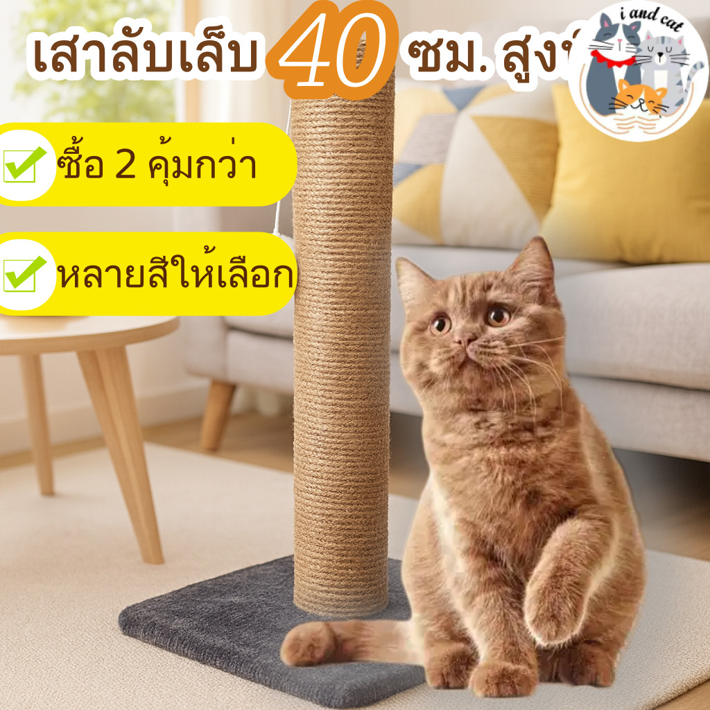 I&CATฝนเล็บแมว คอนโดแมวราคาถูก คอนโดแมว ที่ลับเล็บแมว ที่ฝนเล็บแมว ลับเล็บแมว คอนโดแมวเล็กของเล่นแมว