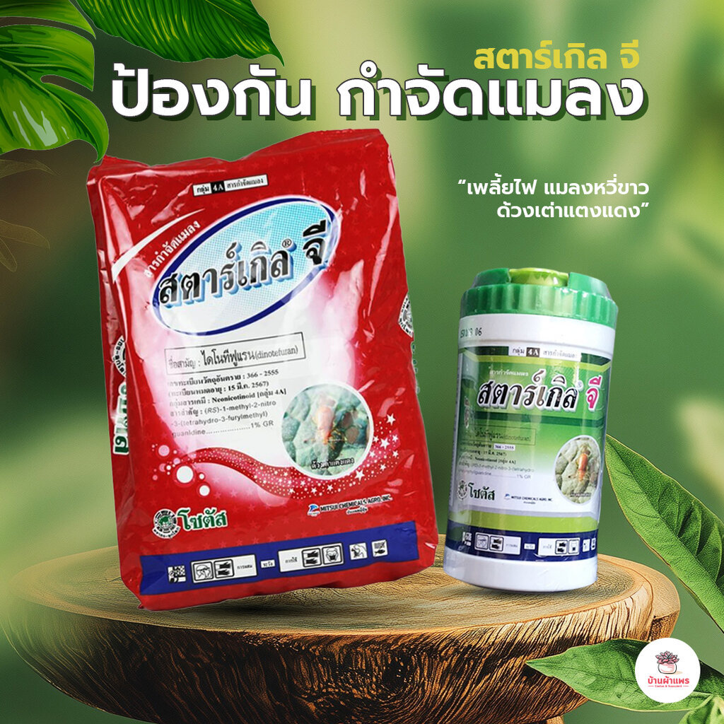 สตาร์เกิลจี สารกำจัดแมลง ไม้อวบน้ำ กุหลาบหิน cactus&succulent