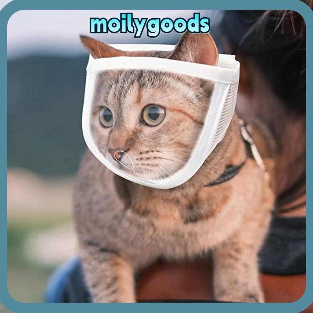 MOILYHD Cat Muzzle Pet Product Anti Bite Transparent Mouth Guard