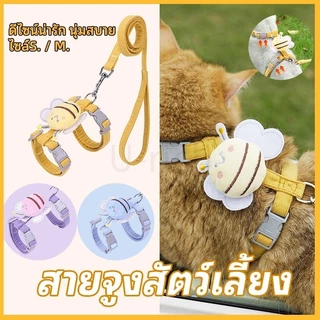 สายจูงขนาดเล็กสำหรับสัตว์เลี้ยง แมว กระต่าย หมา ใช้ได้ รูปร่างผึ้ง มีหลายขนาดให้เลือก สายจูงสัตว์เลี้ยง สายจูงหมา สายจูง