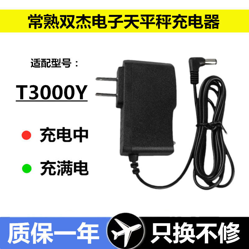 ✨Changmai Shuangjie 0.5g เครื่องชั่งสมดุลอิเล็กทรอนิกส์ที่แม่นยํา T3000Y Scale Wire DC6V1A/300mA Pow