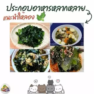 100 กรัม สาหร่ายวากาเมะอบแห้งแผ่นใหญ่คุณภาพดี NEW