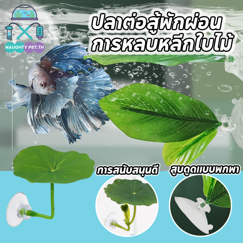 COD การตกแต่งตู้ปลา ใบไม้ปลอม ปล่อยให้ปลาได้พัก จําลองใบบัว วางไข่ ทำให้ตู้ปลาสวยขึ้น