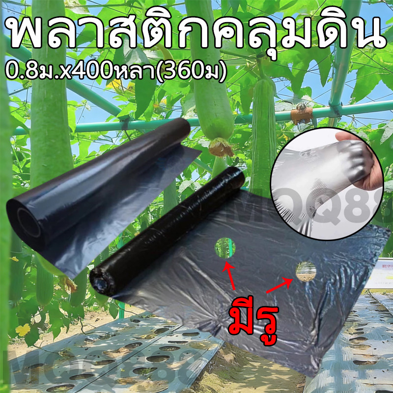 พลาสติกคลุมดิน 0.8มx400หลา 360ม พลาสติกคลุมแปลง พลาสติกดำเงิน พลาสติกกันวัชพืช ปลูกผัก ปลูกผลไม้