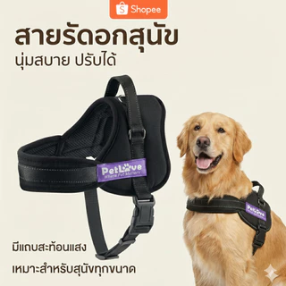 สายคล้องคอปรับสายรัดสบายสัตว์เลี้ยง สายรัดอกสุนัข สัตว์เลี้ยง อุปกรณ์สุนัข สายรัดอกสุนัข สายรัดอก