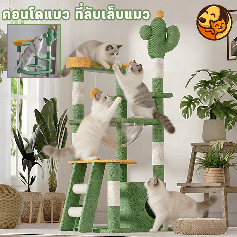 COD คอนโดแมว 5in1 ที่ลับเล็บ+เตียง+ของเล่น สูงปรับได้ 55-155cm ครบจบในชิ้นเดียว