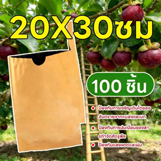 ถุงห่อมะม่วงชุนหวง คาร์บอน 2 ชั้น 20x30 ซม. - 100 ใบ กันแมลง…