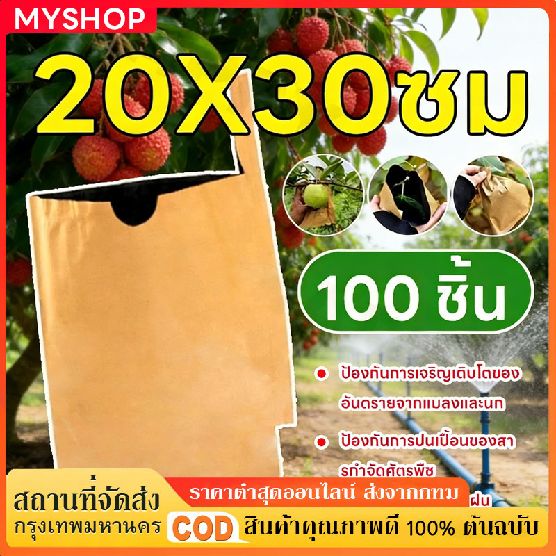 ถุงห่อผลไม้คาร์บอน 20*30 ซม. (100 ใบ) - แพ็ค 2 ชั้น กันน้ำ กันแมลง กันนก พิเศษสำหรับมะม่วงและฝรั่ง