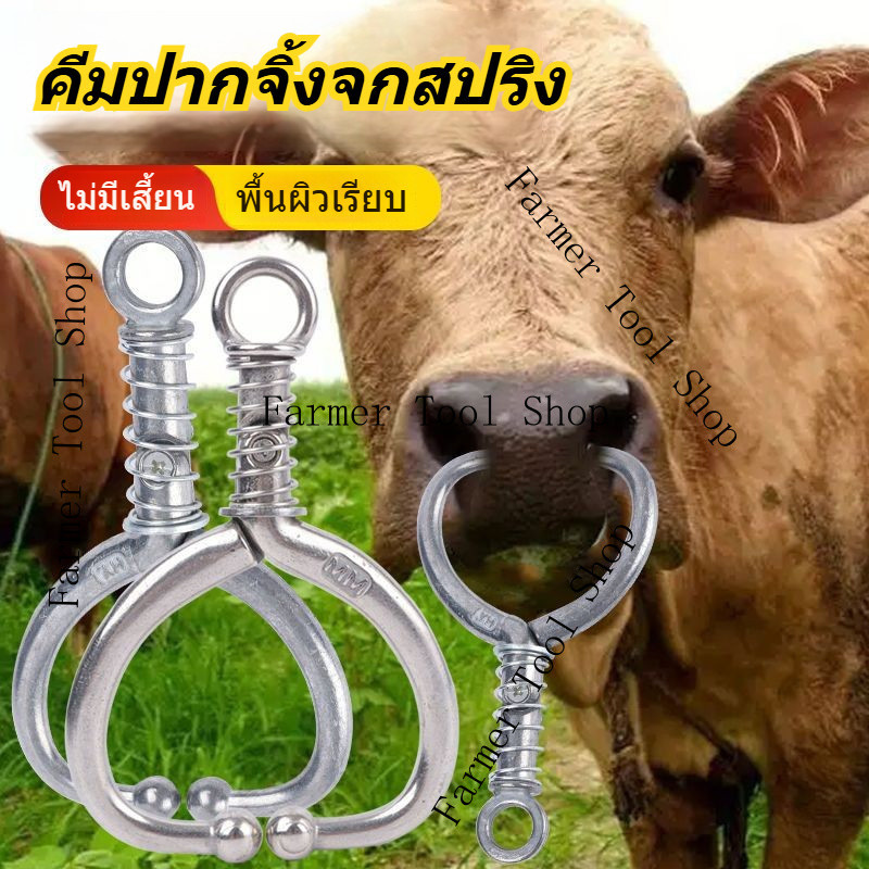 แหวนจมูกวัวสแตนเลส แหวนจมูกวัว อุปกรณ์และอุปกรณ์การเลี้ยงวัว คีมจมูกวัว คลิปหนีบจมูกวัว ดึงโดยไม่ต้องเจาะ